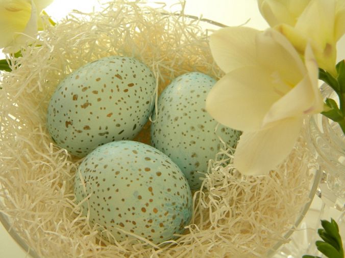 Speckled eggs and photo by Homework via Hometalk.com.