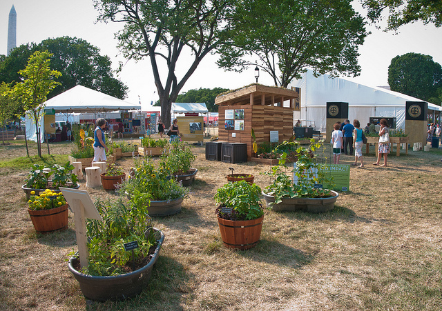 Photo of container garden by USDA.gov/Flickr.