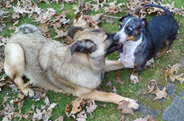 You need to get your lips off my neck and move that paw right now.