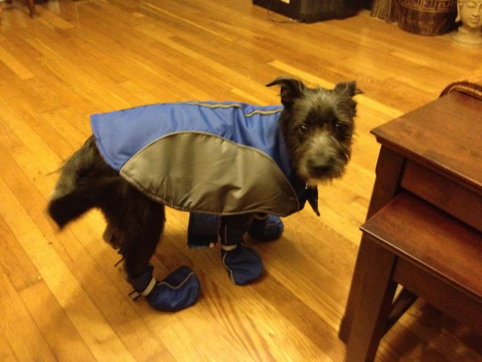 I can’t go to outside like this. They’ll all laugh at me.