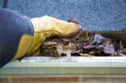 Cleaning a gutter