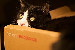 Photo: Jeffrey/Flickr