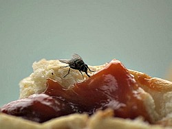 Photo: Jeffrey Kontur/flickr