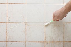 mattwalker69/flickr