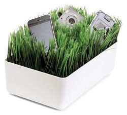 The Grass Charging Station from Kikkerland.com