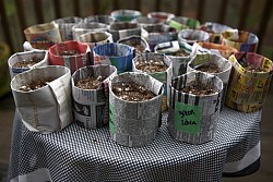 Newspaper seed pots that I made! --Sayward