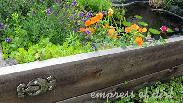 Photo: Empress of Dirt/hometalk