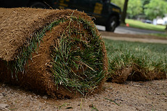 Photo: slgckgc/flickr 