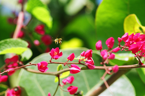 Photo: Sylvar/Flickr 