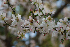 Photo: hamedog/flickr