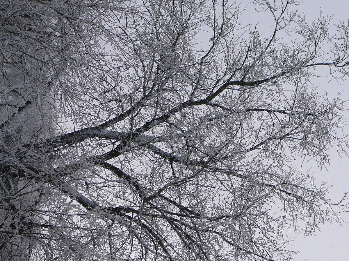 Photo: SDRandCo/Morguefile
