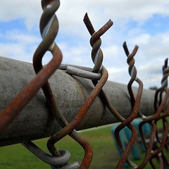 Photo: Kate Ter Haar/flickr