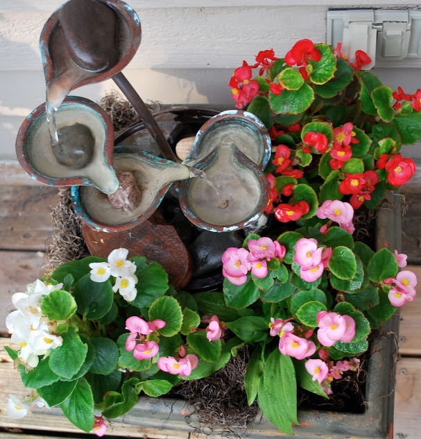 Photo: Mary B/hometalk