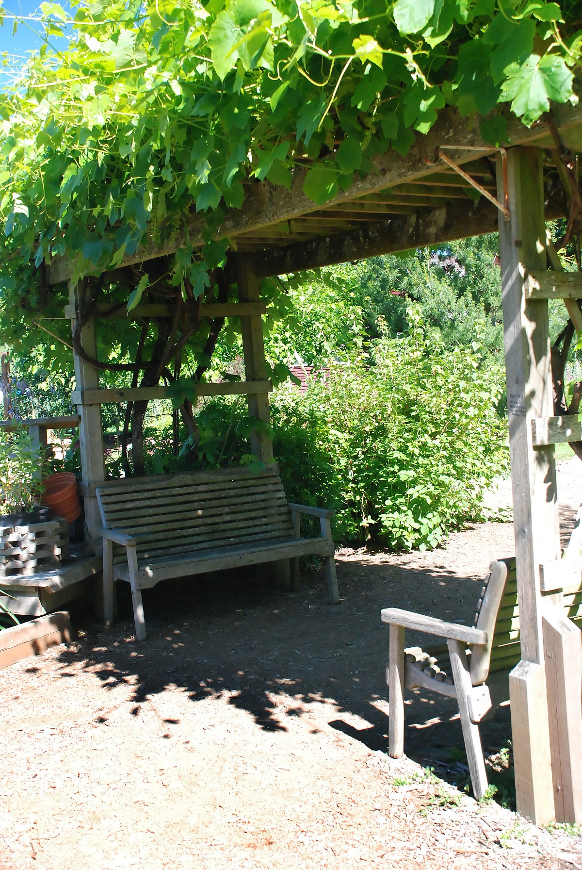 Pergola Photo: penywise/morgueFile