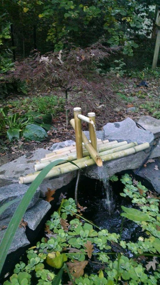 Photo: The Garden Frog Boutique/hometalk