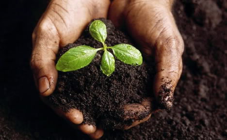 Healthy soil