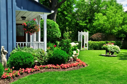 Front yard design