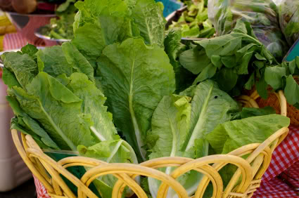 Organic pesticides and herbicides