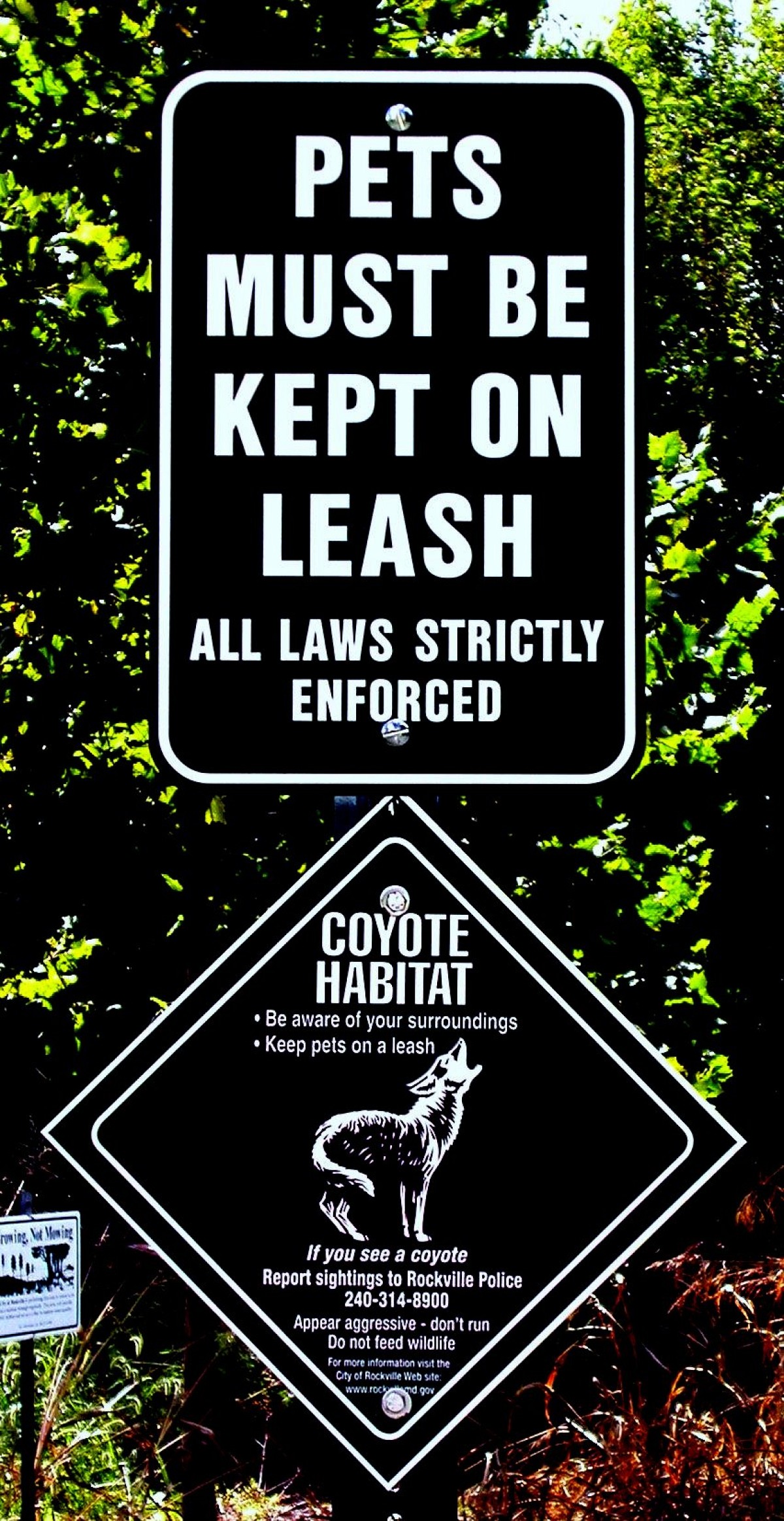 A sign warns residents to keep pets on leash due to coyotes. (Photo: marganz/sxc.hu.)