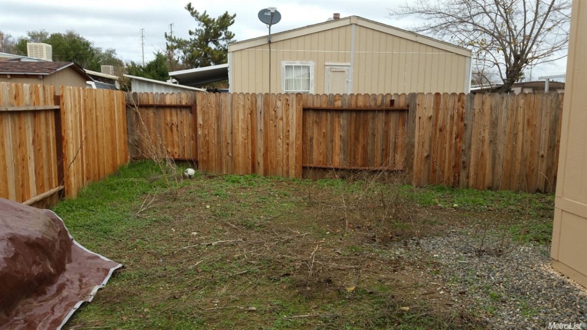 BEFORE weed patch got much worse before it got better