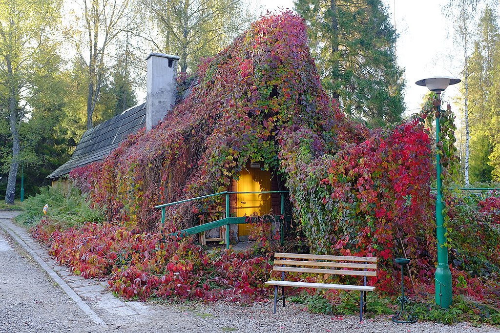 Wrobell/Wikimedia Creative Commons Archive Team Wrobell/Wikimedia Creative Commons Archive Team