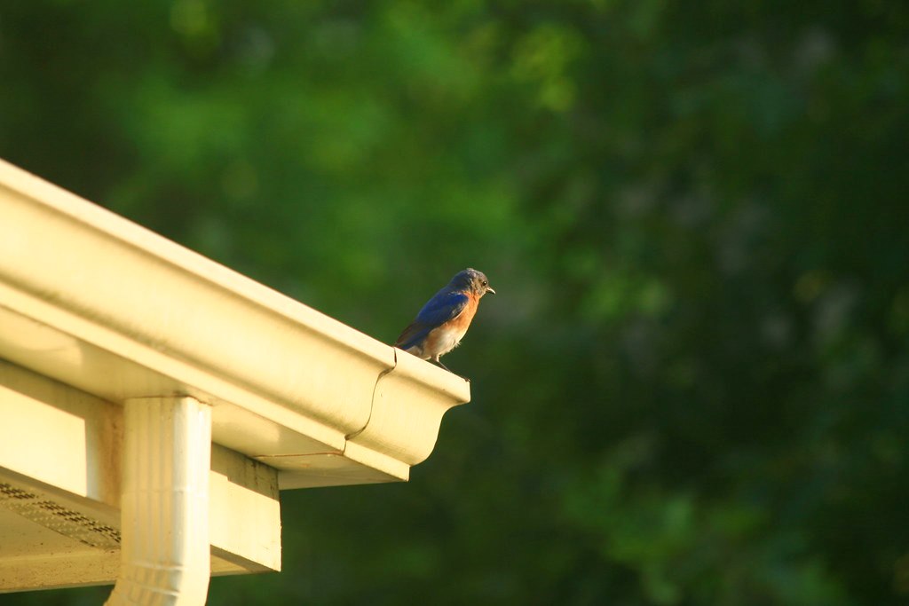 Gutter seams by Ivy Dawned/flickr