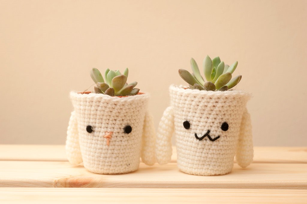 Gift houseplant Tiny Hole / flickr Gift houseplant Tiny Hole / flickr