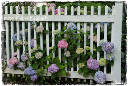 Lorraine F. @MissFlibbertigibbet via Hometalk.com Lorraine F. @MissFlibbertigibbet via Hometalk.com