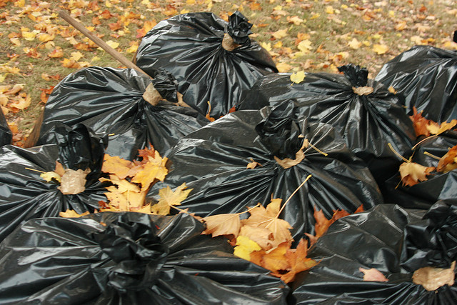 Photo: Quinn Dombrowski/Flickr. Photo: Quinn Dombrowski/Flickr.