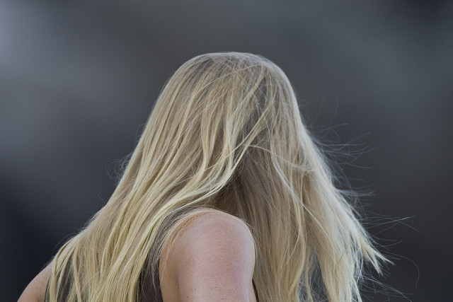 Photo: Mike Baird/Flickr Photo: Mike Baird/Flickr