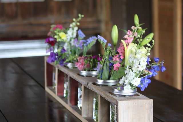 Photo: Old World Garden Farms/Hometalk