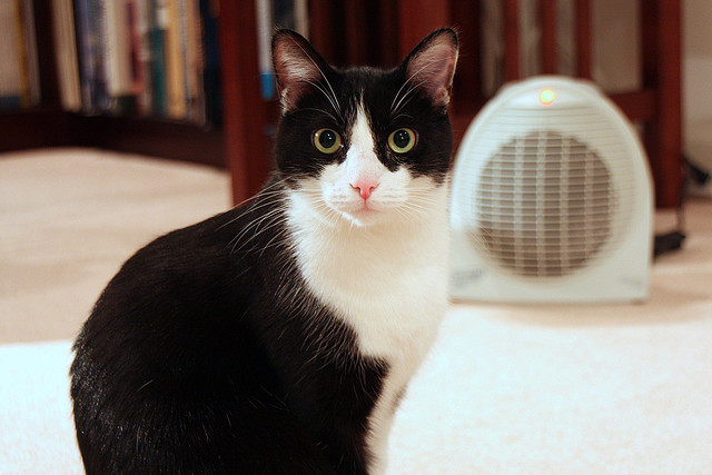 Photo: Mr. T. in DC/Flickr Photo: Mr. T. in DC/Flickr