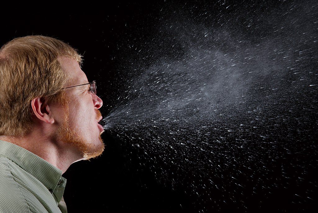 James Gathany/CDC Public Health Image Library