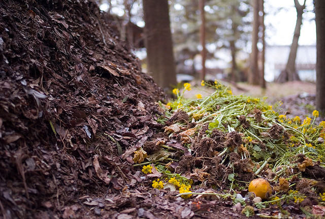 Photo: Joi Ito/Flickr