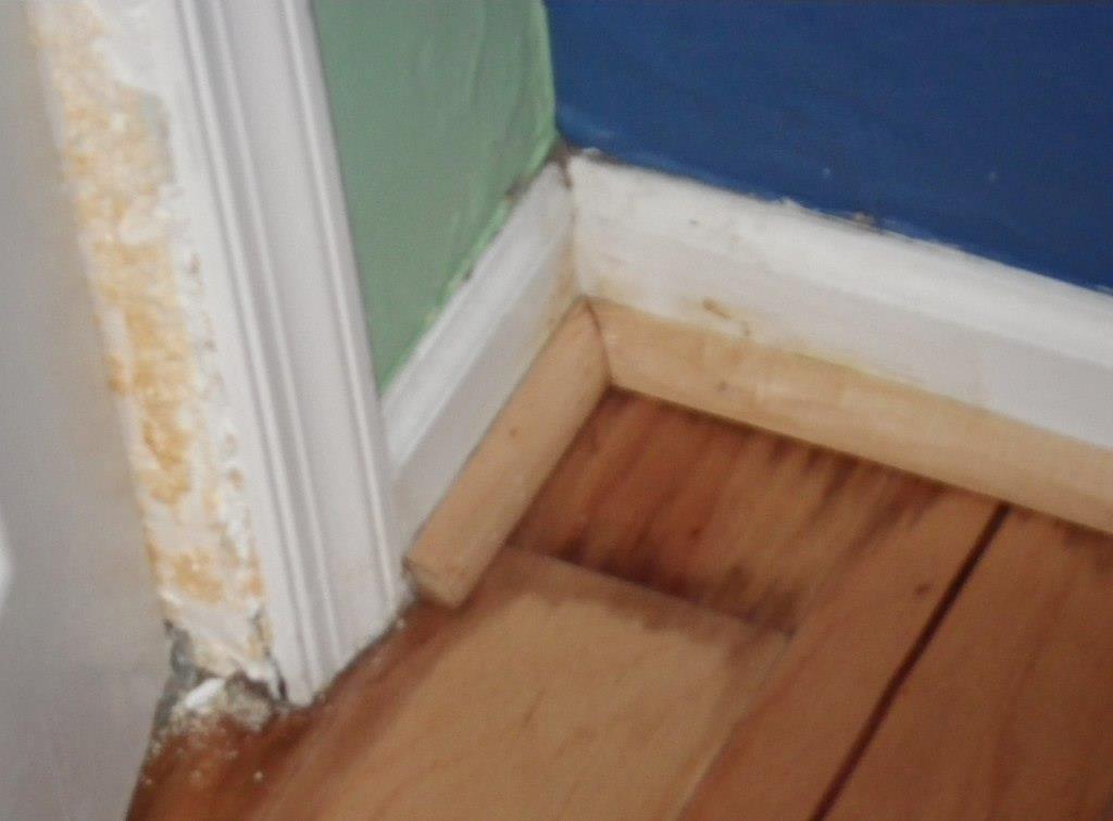 water damaged wood floor by Osseous/flickr (crop) water damaged wood floor by Osseous/flickr (crop)