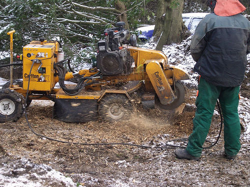 Stump Grinder