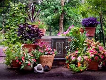 Houseplants outdoors SBT4NOW / flickr Houseplants outdoors SBT4NOW / flickr