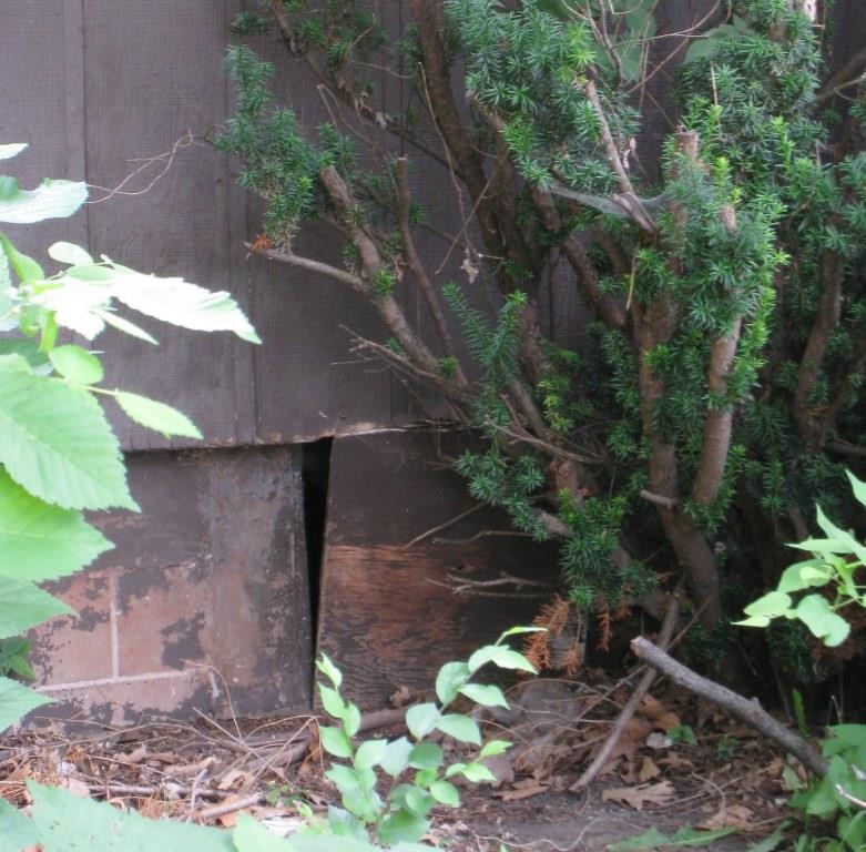 Foundation damage  / Michael Cornelius / flickr   