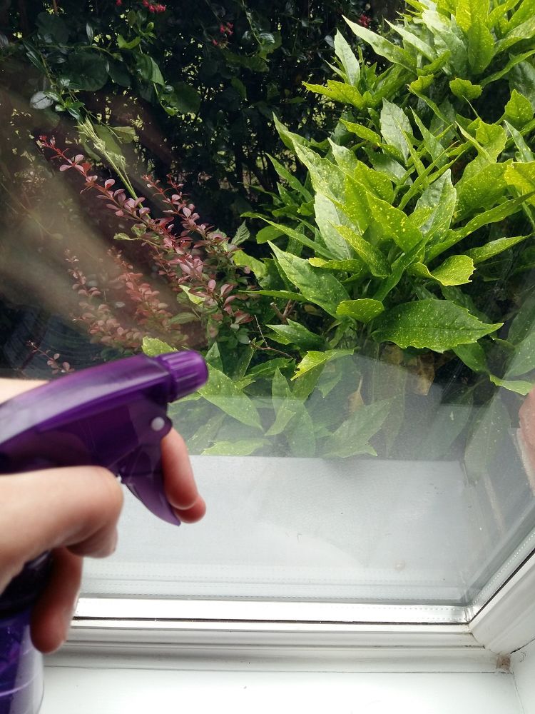 Homemade glass cleaner Homemade glass cleaner