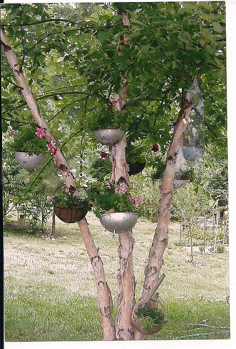Colander planters and photo by CeeJai via Hometalk.com.