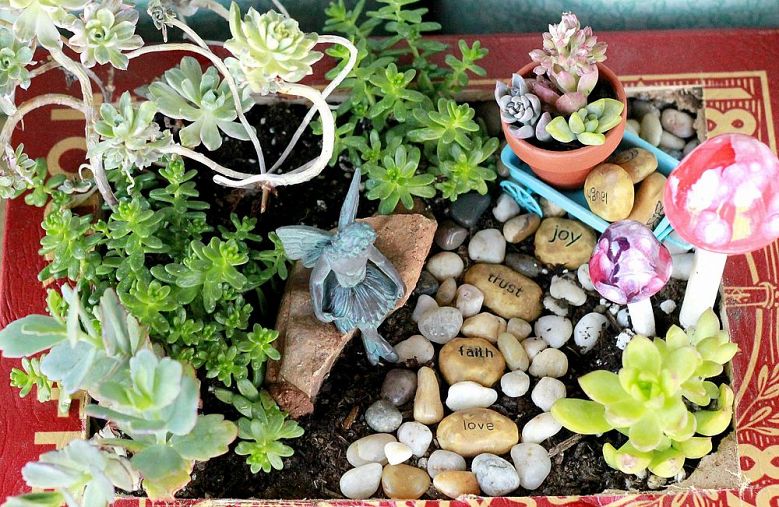 Fairy garden and photo by The Crafty Woman via Hometalk.com. Fairy garden and photo by The Crafty Woman via Hometalk.com.