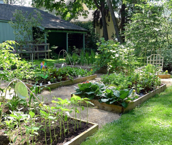 Wet and Forget via Hometalk.com Wet and Forget via Hometalk.com