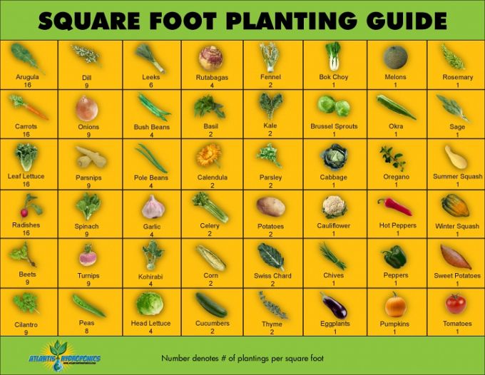 Guide to square foot gardening by Garden Therapy via Hometalk.com. Guide to square foot gardening by Garden Therapy via Hometalk.com.