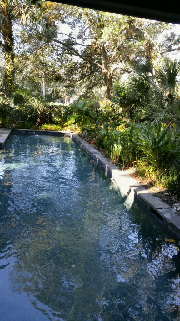 Pool area