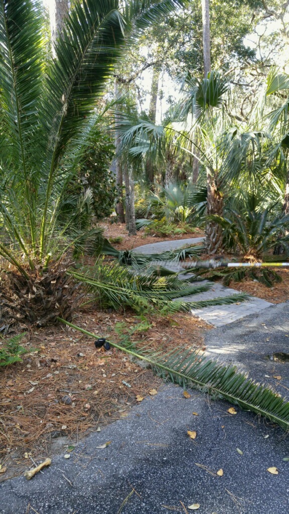 Clearing a pathway