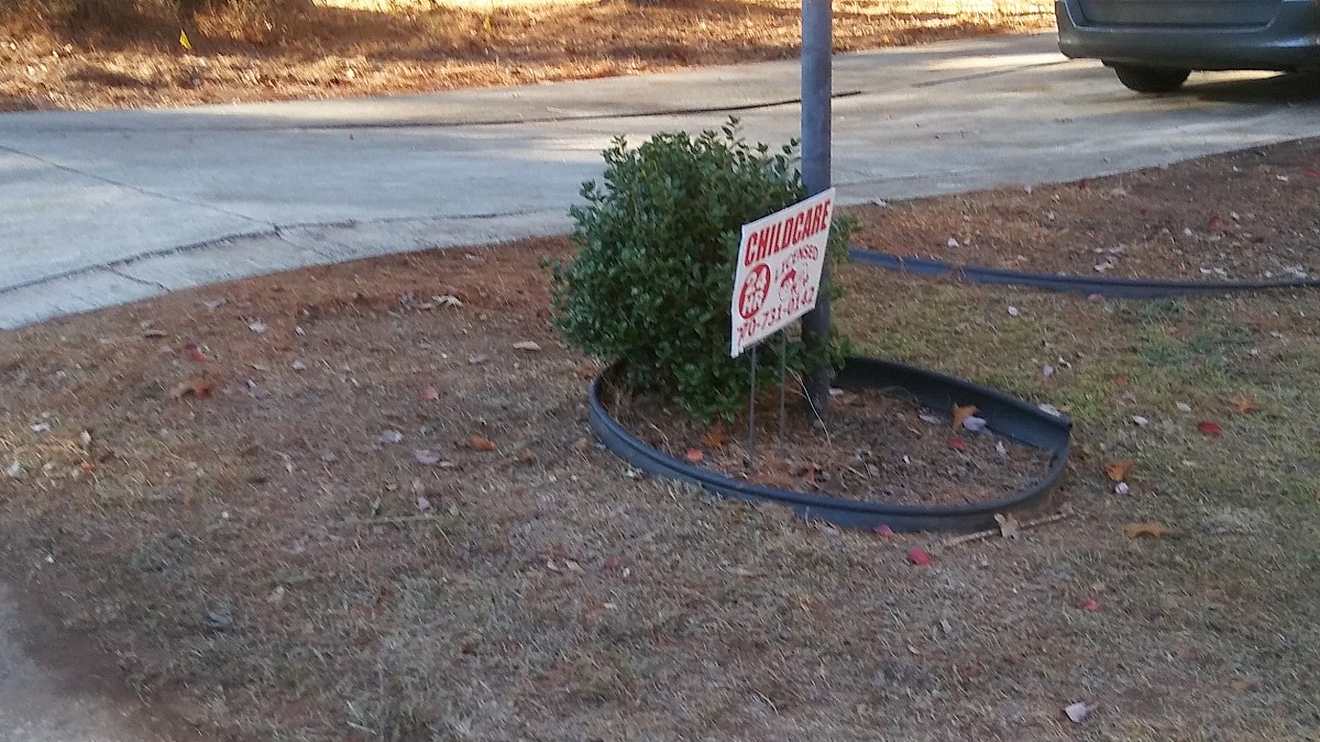 Clean yard