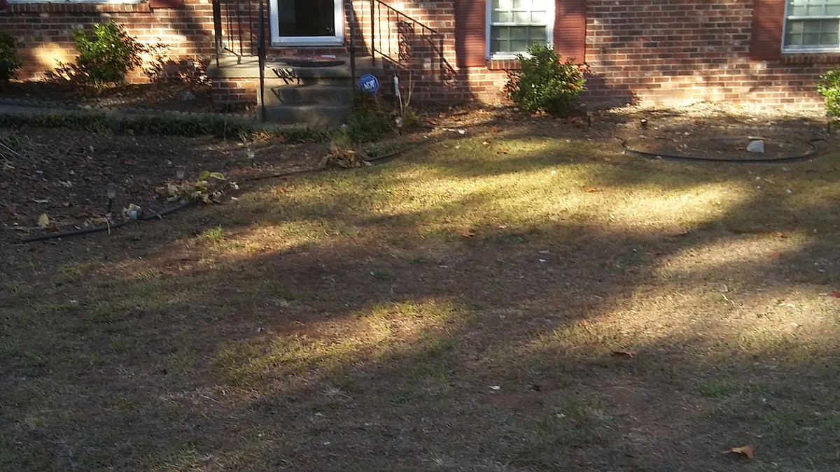 Yard looks great now