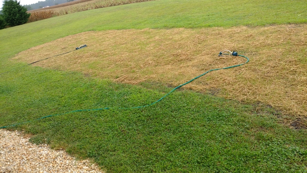 Topsoil installation