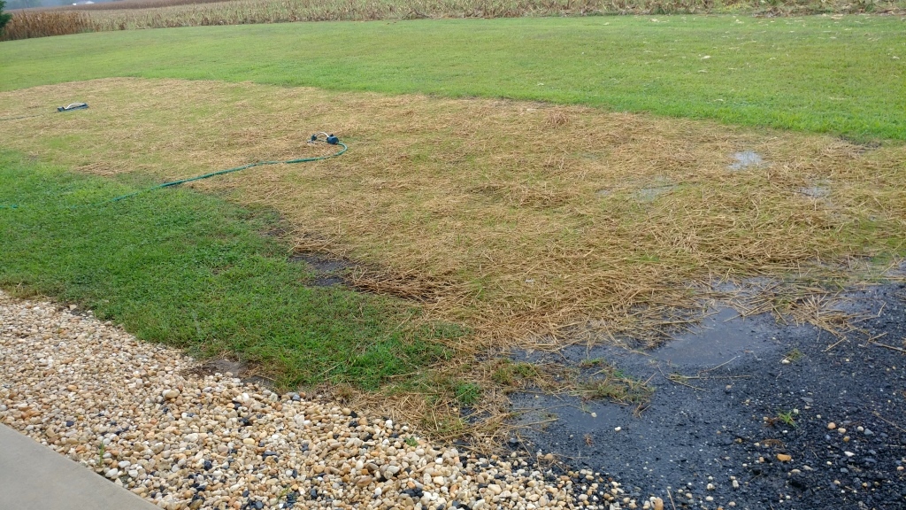 Topsoil installation