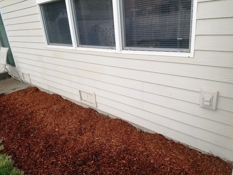 Siding replacement and painting Siding replacement and painting